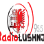 radiolushnja.al