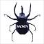 saosin.com
