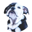 thelondon.com