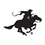 winchesterguns.com