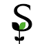 yeovilchamber.org