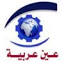 ainarabia.com