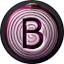 bermudians.com