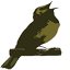 birdfreak.com