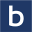 bluesalve.com