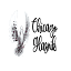 chicagoglasnik.com