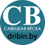 dribin.by