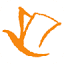 ellector.com.py