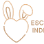 escortindex.net
