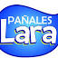 panaleslara.com