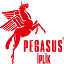 pegasusiplik.com.tr