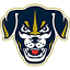 saltdogs.com