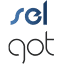 selgot.ro
