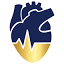 the-cmcc.com