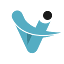 vconsol.com