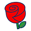 blackburnrovers.news