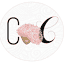 classycurlies.com