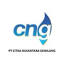 cng.co.id