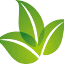 ecolomania.ro