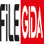 filegida.com