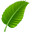 green.kg