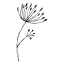 natashazimmerman.com