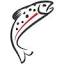 peterhayesflyfishing.com