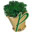 planterdesigns.com