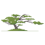 salishan.com