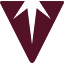 silvertipcompletions.com
