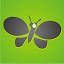 xinhuaenews.com
