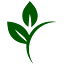 bio-terapias.com