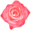 noresk.com
