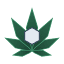 phyto-health.net