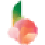 ballaratbegoniafestival.com