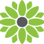 caanfloral.com