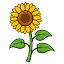 cehhospice.org