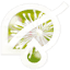 cimidona-amaxa.com