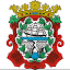 concellodemoana.org