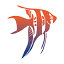 customaquariums.com