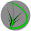 dreamcutslawncare.com
