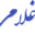drmahdigholami.com