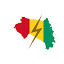 flashguinee.info