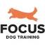 focusdogs.ca