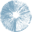 microdosinginstitute.com