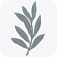 openhandsministries.org