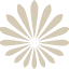 palmira-palace.com