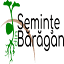 semintedinbaragan.ro