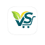 thevsmart.com