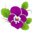 thymeinmygarden.com